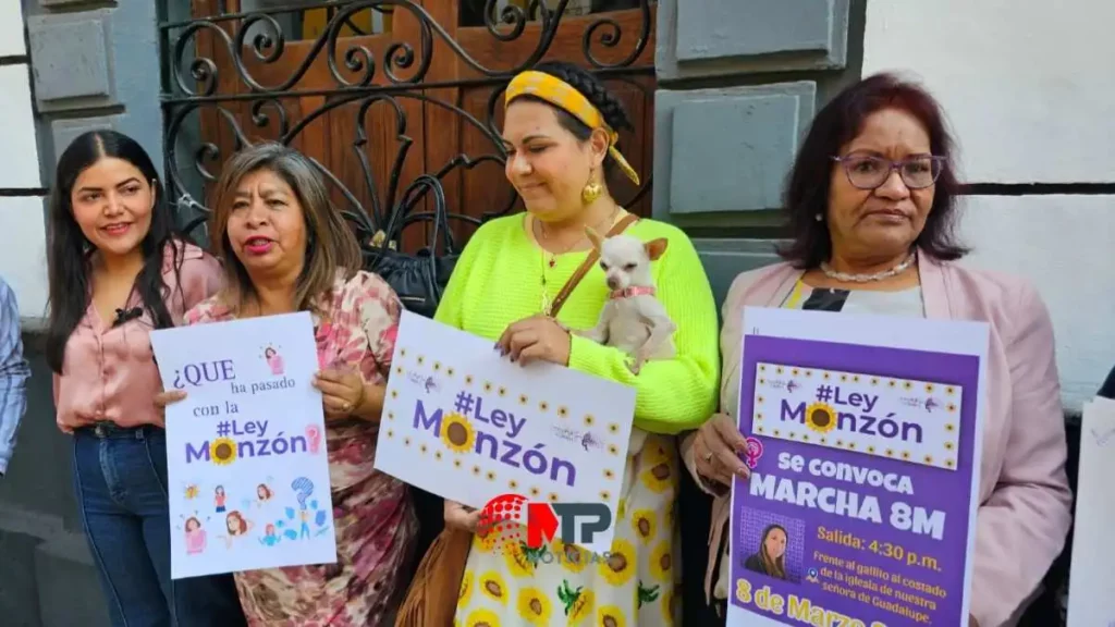 Ley Monzón en Puebla: ¿cuántos hijos de víctimas de feminicidios han sido atendidos?