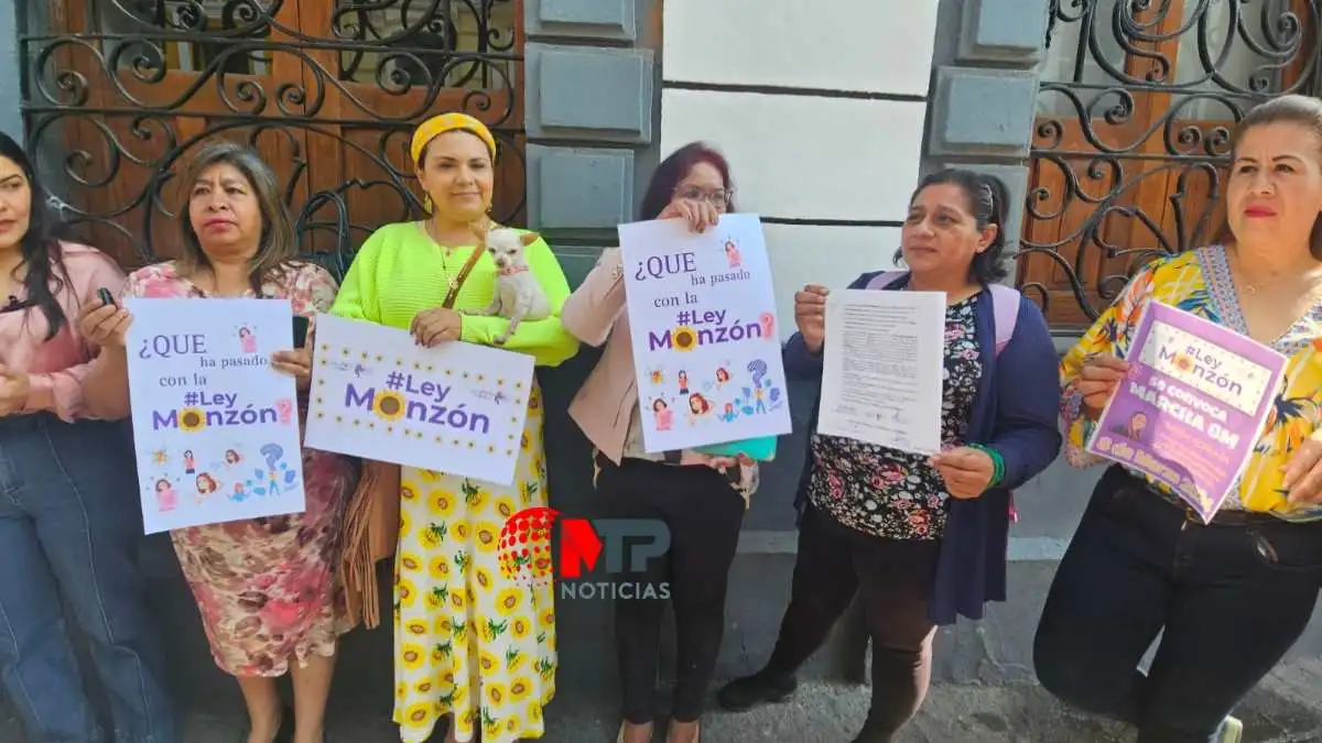 Ley Monzón en Puebla: ¿cuántos hijos de víctimas de feminicidios han sido atendidos?