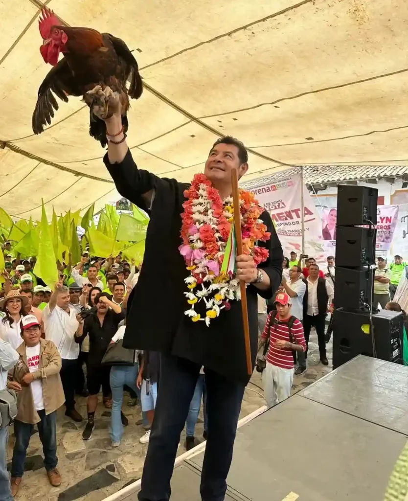 Alejandro Armenta con un gallo en mitin con habitantes de Cuetzalan.