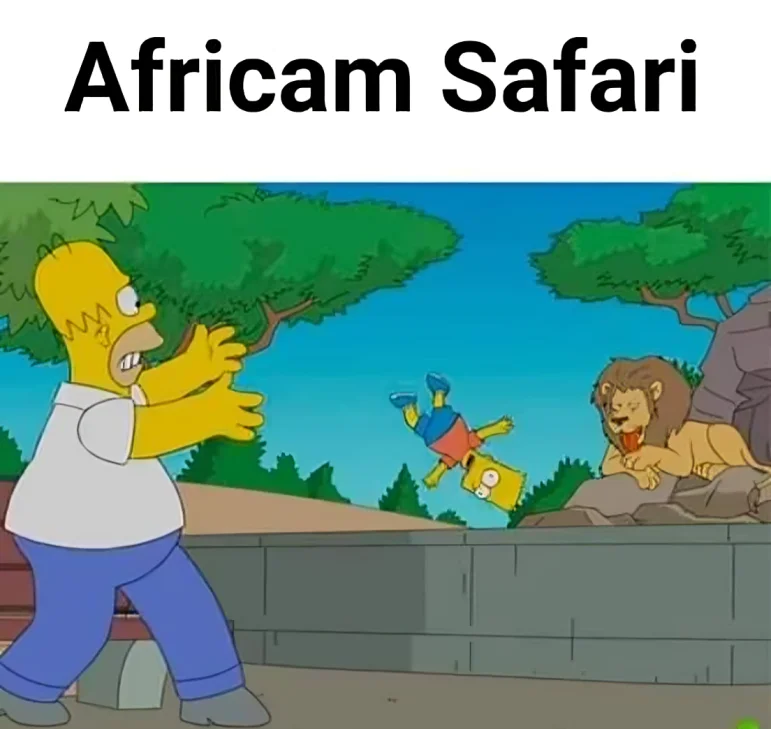 Los Simpson Puebla Africam Safari