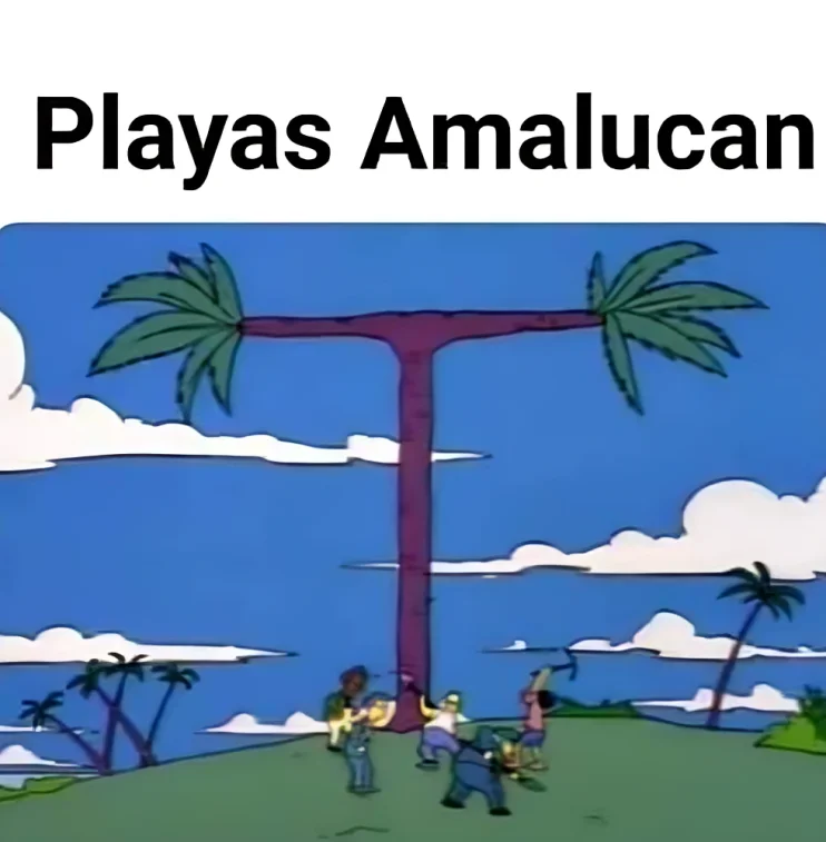 Los Simpson Puebla Amalucan