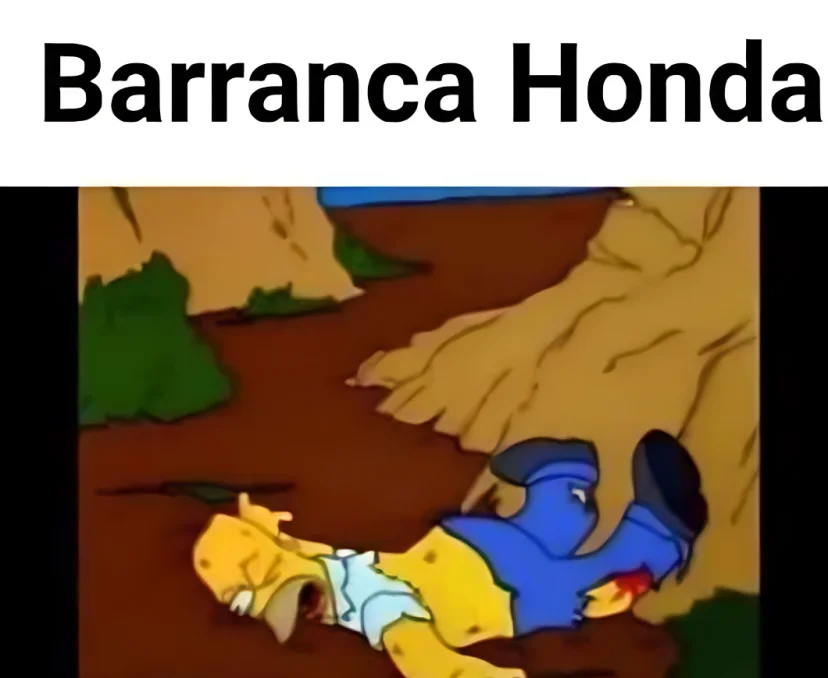 Los Simpson Puebla Barranca Honda