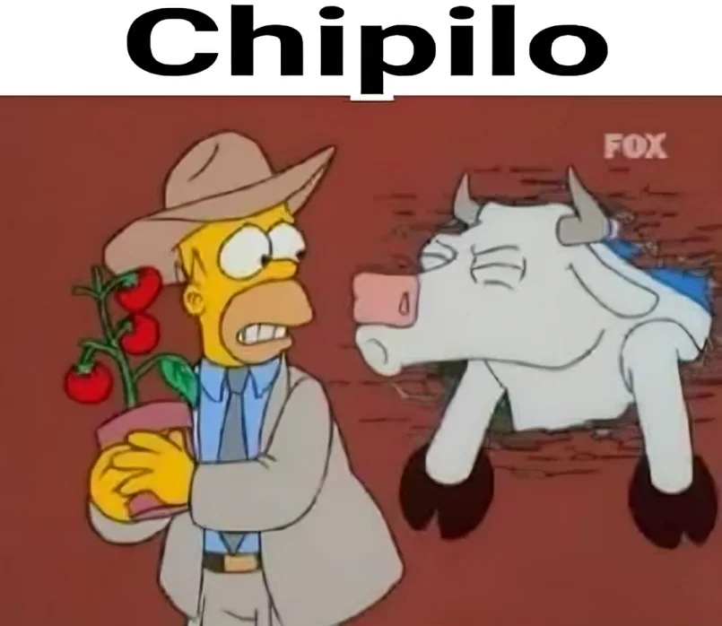 Los Simpson Puebla Chipilo