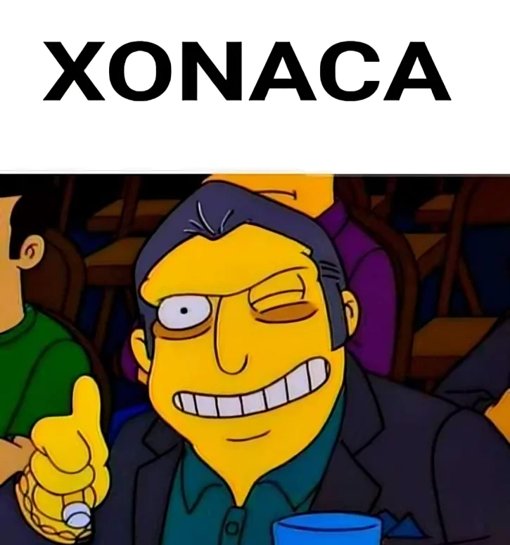 Los Simpson Puebla Xonaca