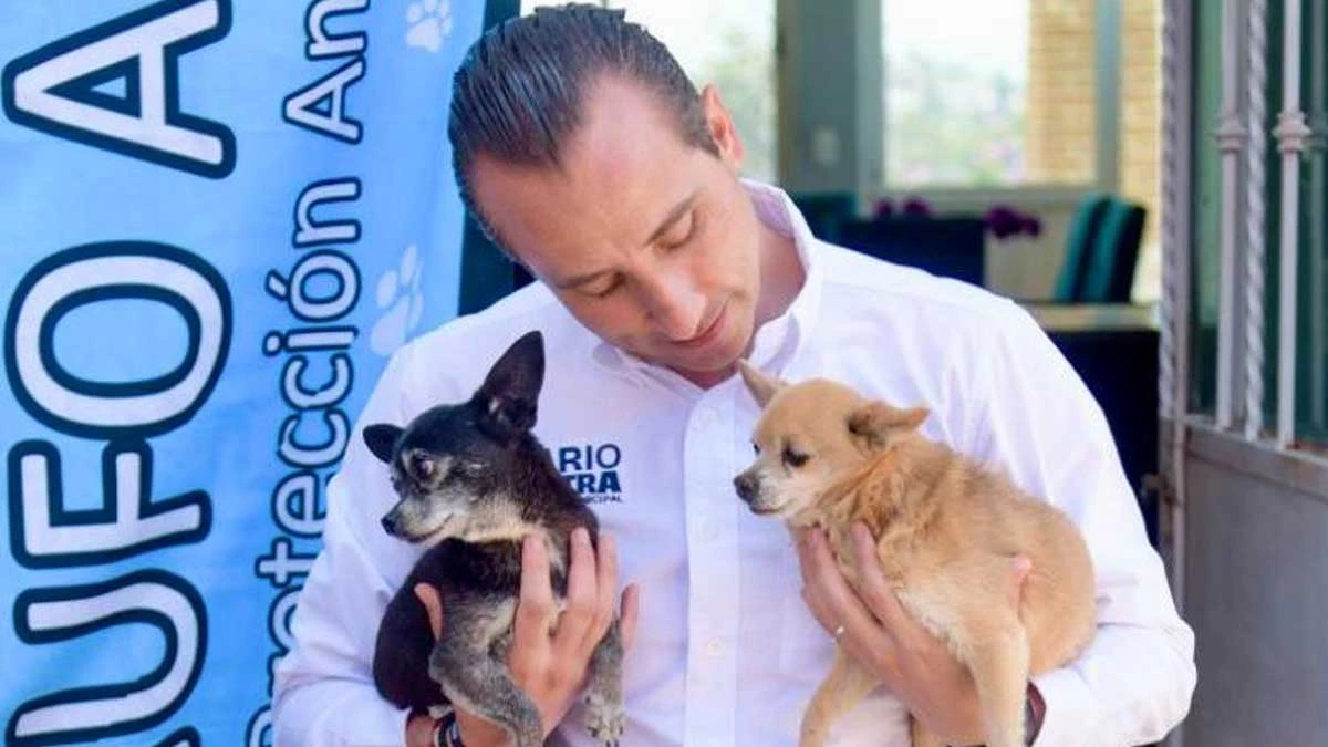 Mario Riestra promete 10 parques caninos en la capital