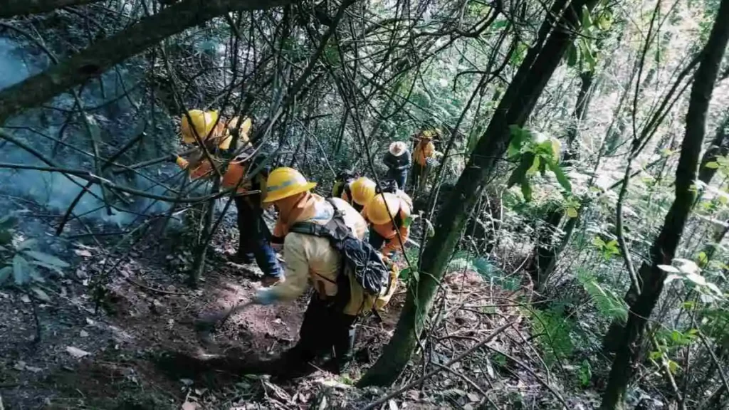 Brigadistas de Puebla controlando incendio en bosque.