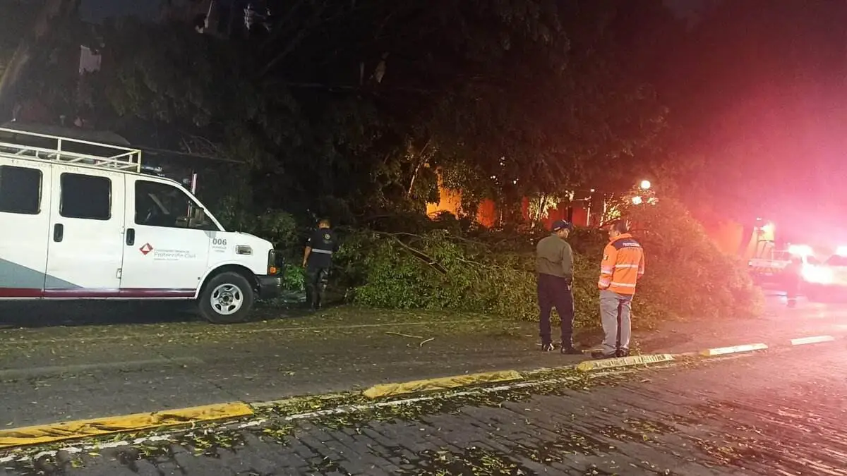 Vientos en Puebla derrumban 8 árboles, un espectacular y dejan sin luz a estas zonas