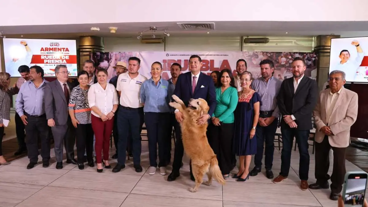 Alejandro Armenta promete construir un albergue para animales callejeros