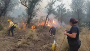 Brigadistas realizando labores para poder sofocar incendios forestales
