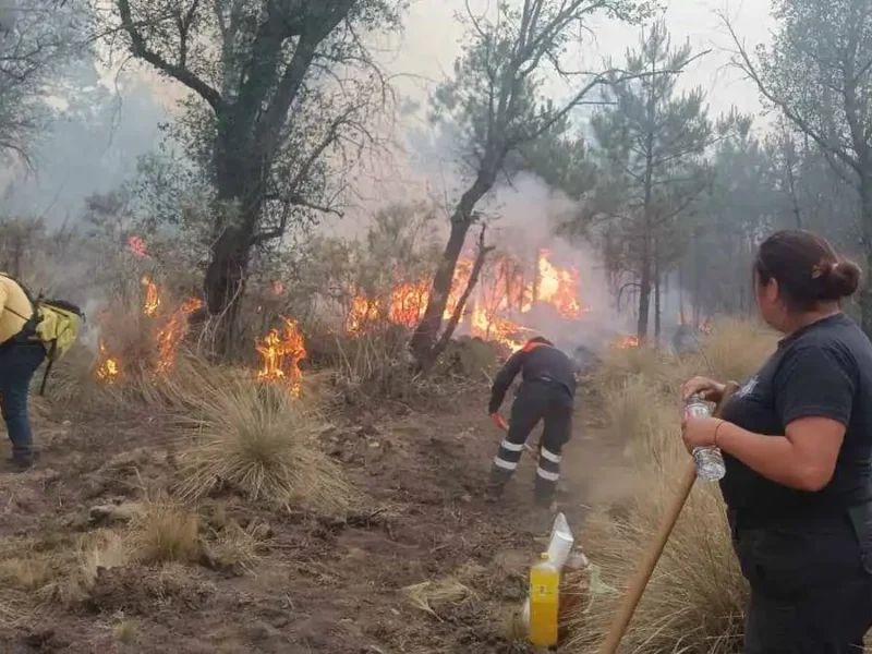 Brigadistas realizando labores para poder sofocar incendios forestales