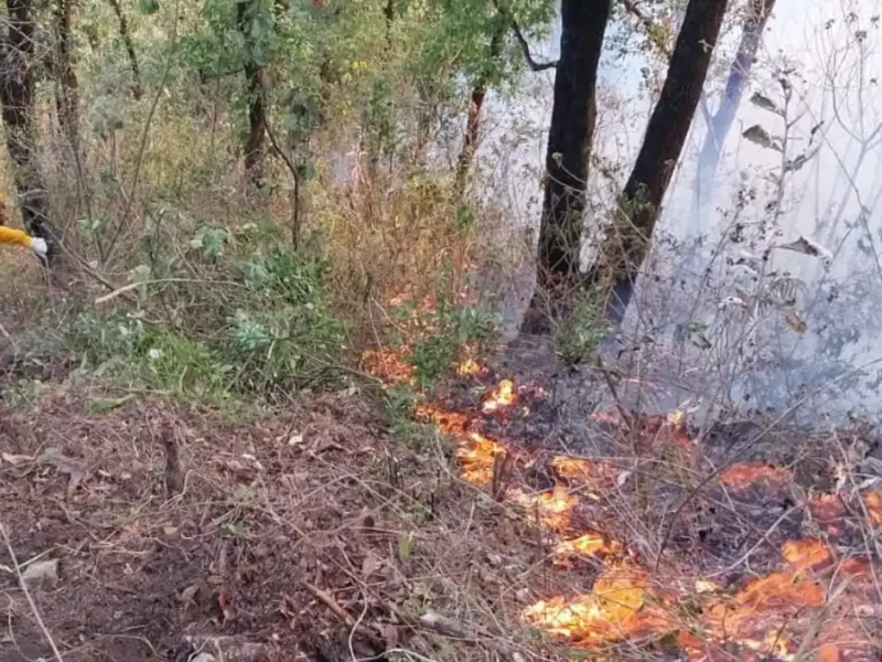 David y Anselmo provocaron incendios que devoraron más de 100 hectáreas en Aquixtla e Ixtacamaxtitlán