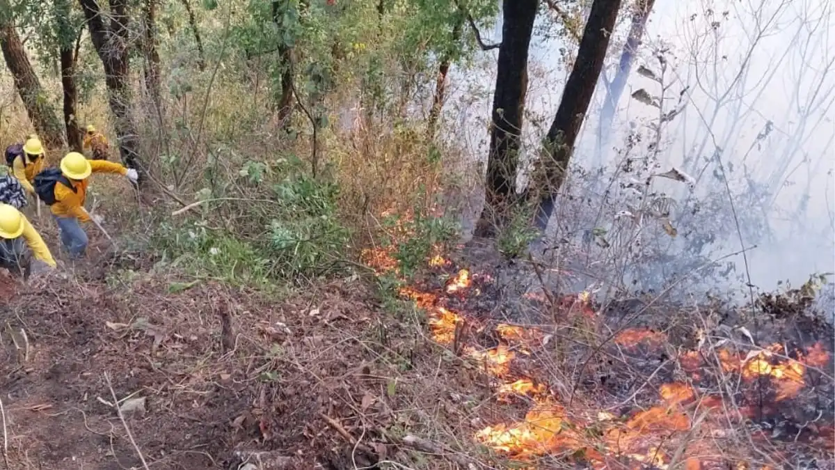 David y Anselmo provocaron incendios que devoraron más de 100 hectáreas en Aquixtla e Ixtacamaxtitlán