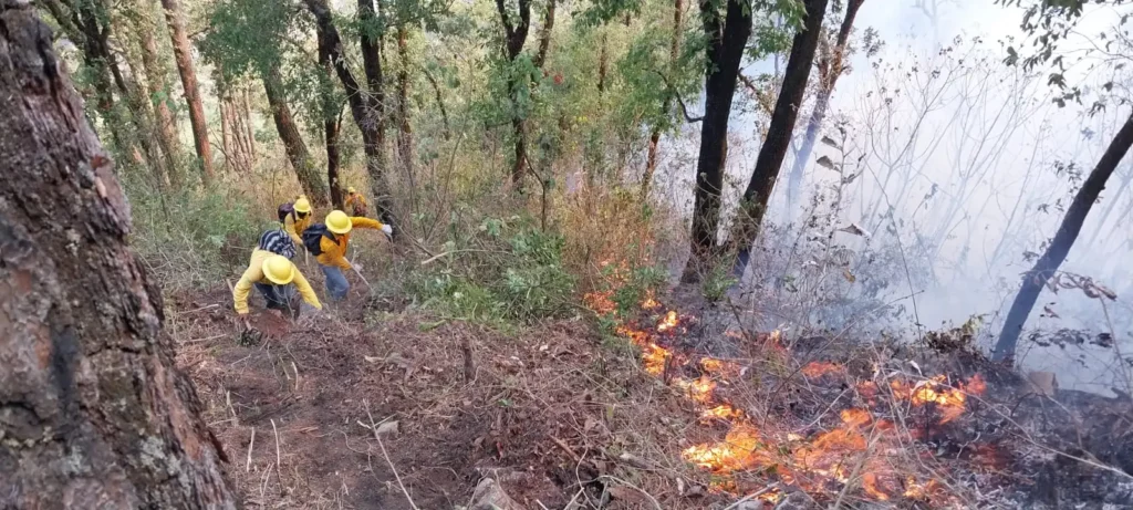 Incendio forestal en Puebla