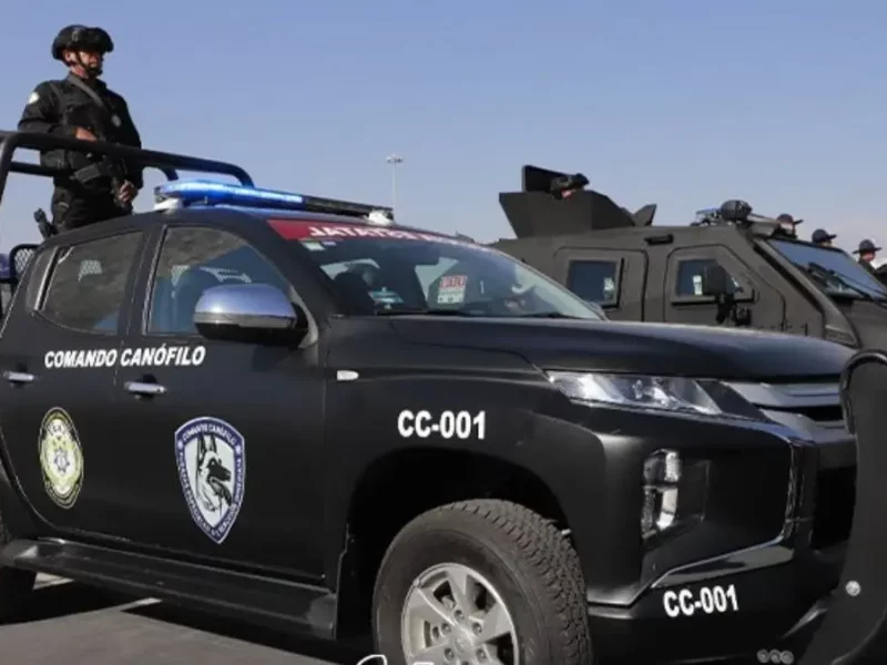 Plan Centinela en Puebla: han detenido a 77 y recuperado 446 vehículos