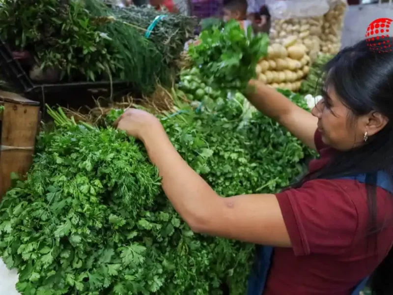 Usar cilantro o perejil en tus comidas ya es un lujo manojo llega a 250 pesos en Puebla