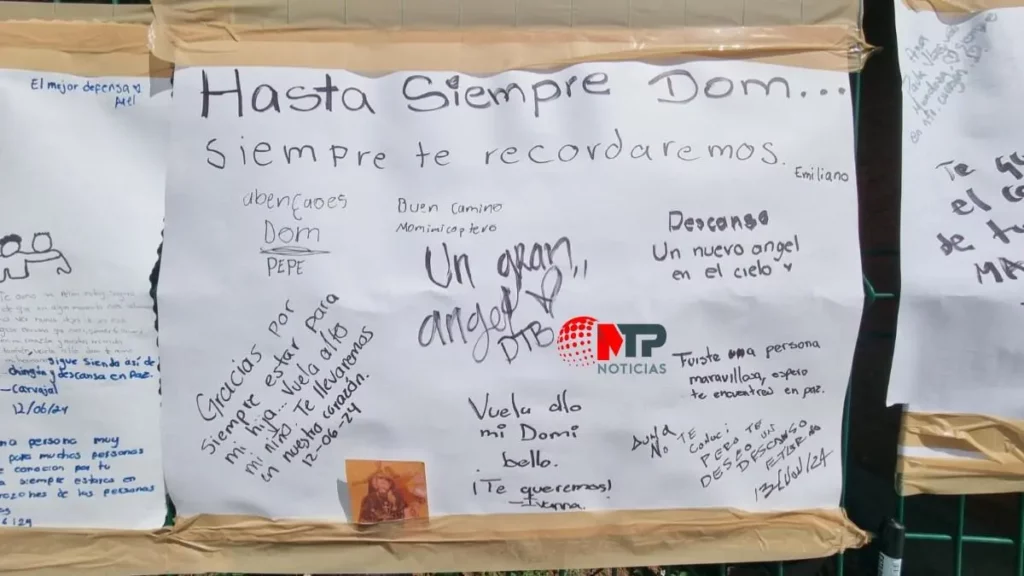 “Gracias por ser un gran amigo”: así despiden a Dominique en colegio Camino Real