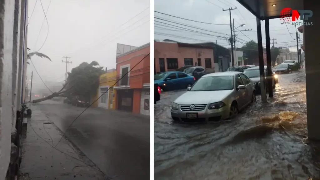 Vidrios rotos, árboles caídos y locales inundados por lluvias en Puebla