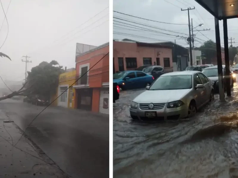 Vidrios rotos, árboles caídos y locales inundados por lluvias en Puebla