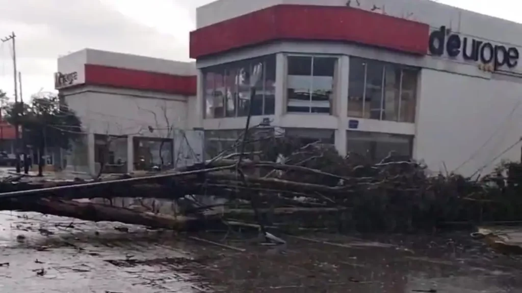 Lluvias provocan caída de árboles y postes en Puebla capital