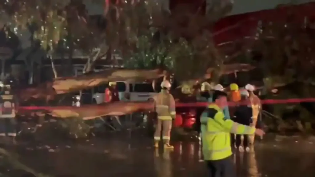 Muere hombre al caerle árbol derribado por fuertes lluvias en Puebla