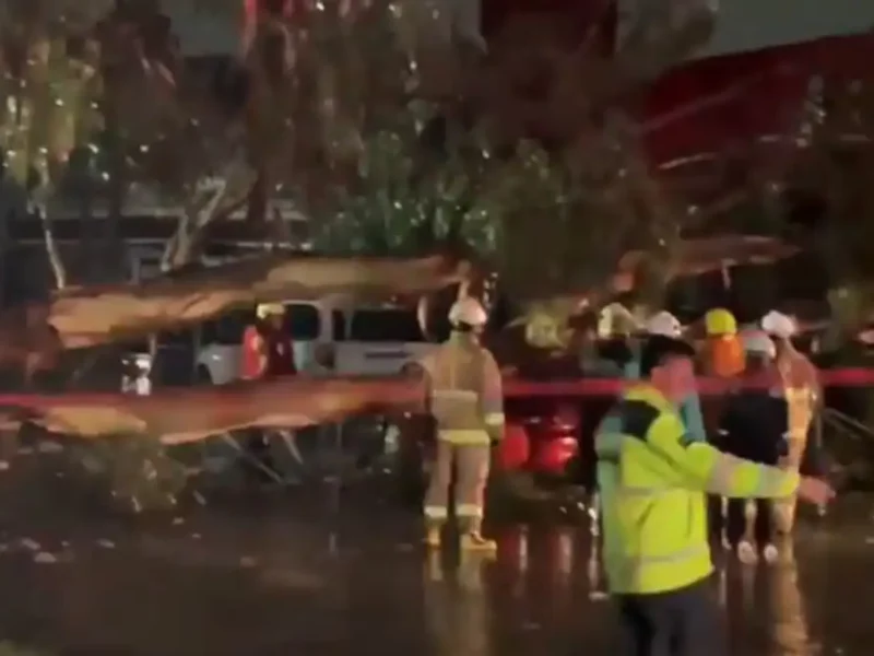 Muere hombre al caerle árbol derribado por fuertes lluvias en Puebla