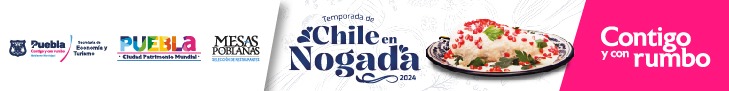  CHILE EN NOGADA