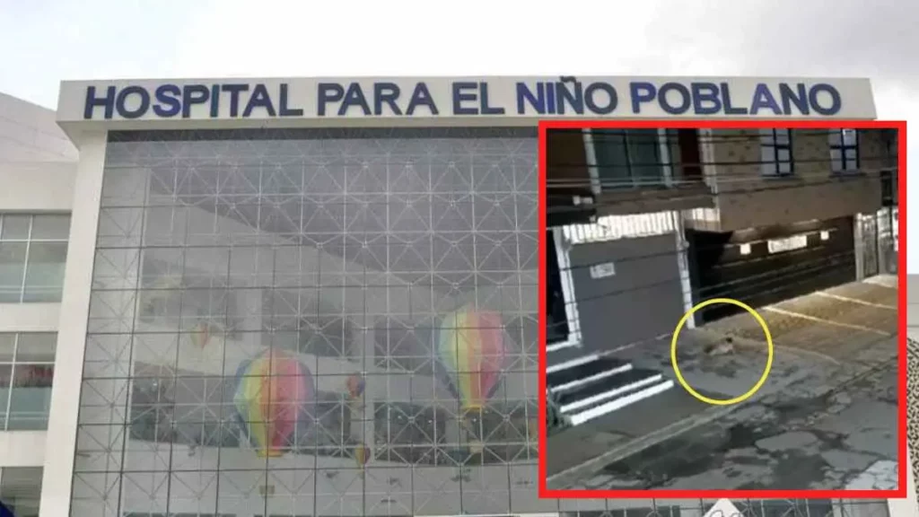 Bebé que cayó de segundo piso en La Paz, Puebla, se recupera de cirugía