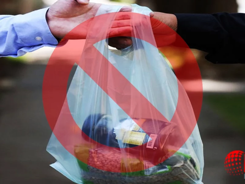Así puedes celebrar en Puebla el Día Libre de las Bolsas de Plástico 2024