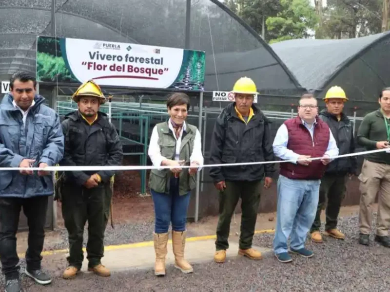 Inauguran vivero forestal tecnificado 'Flor del Bosque' en Puebla, con 5 MDP
