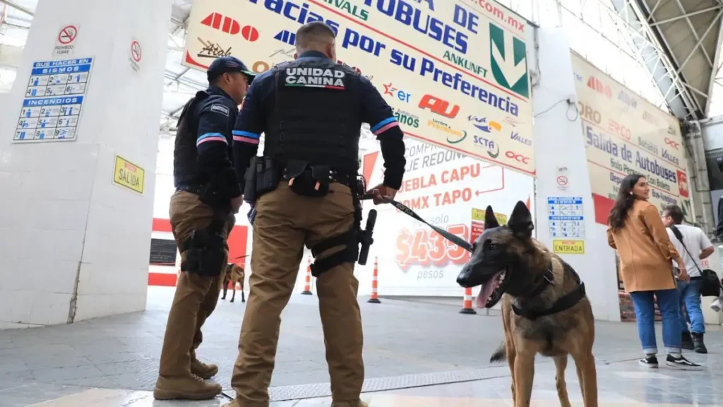 Policías del municipio de Puebla con caninos entrenados en la CAPU