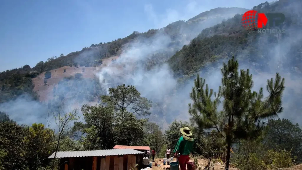 Incendios forestales en Puebla 427 en primer semestre 2024, la cifra más alta en cinco años