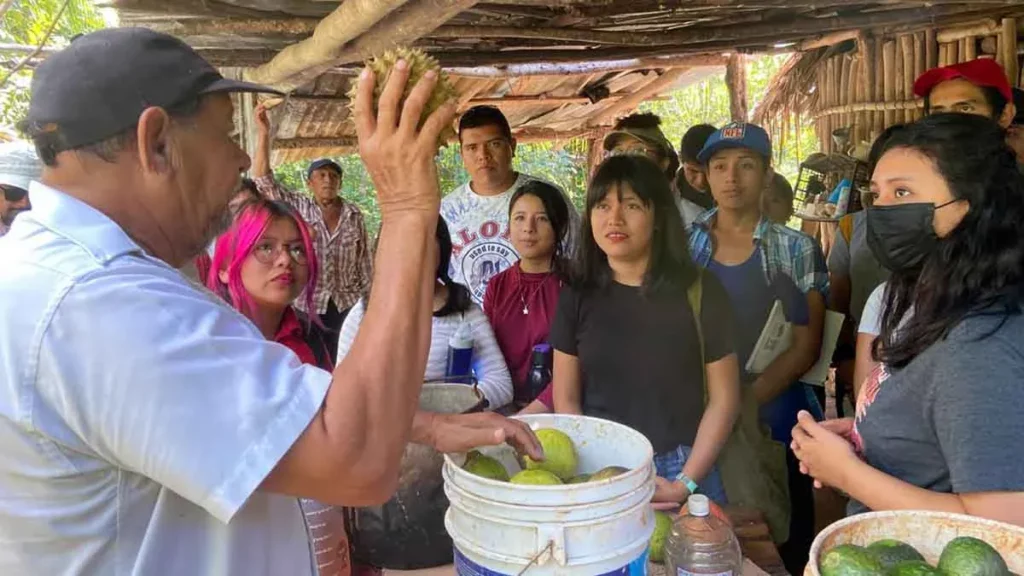 Distinguen a la BUAP por su Licenciatura en Gestión Territorial e Identidad Biocultural