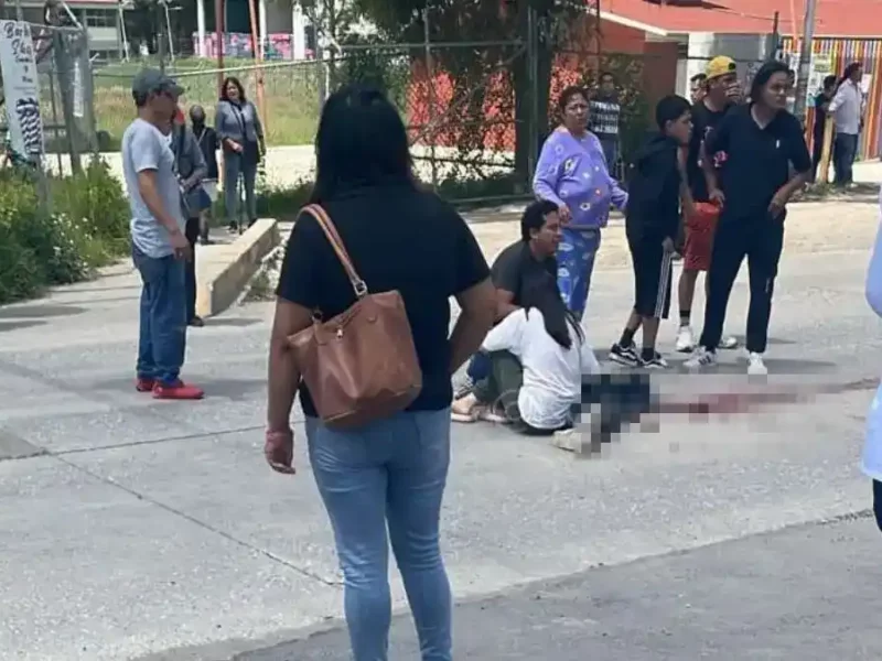 Chofer de RUTA 1 atropella y mata a un menor en estación de UTP