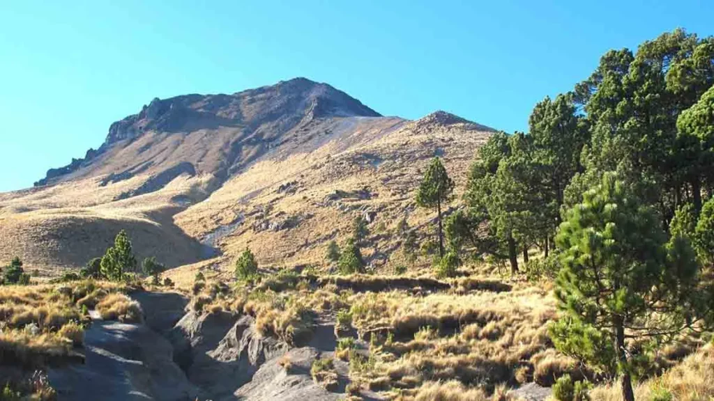 Rescatan a jóvenes que se extraviaron en La Malinche, así los encontraron
