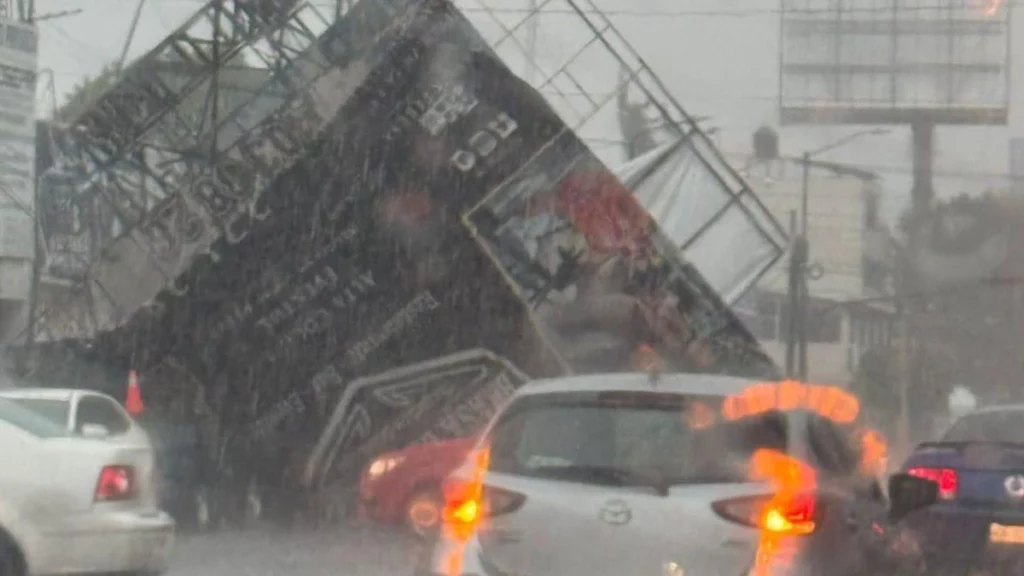 Cae espectacular sobre autos en la 31 Poniente, lluvia tira árboles en otros puntos