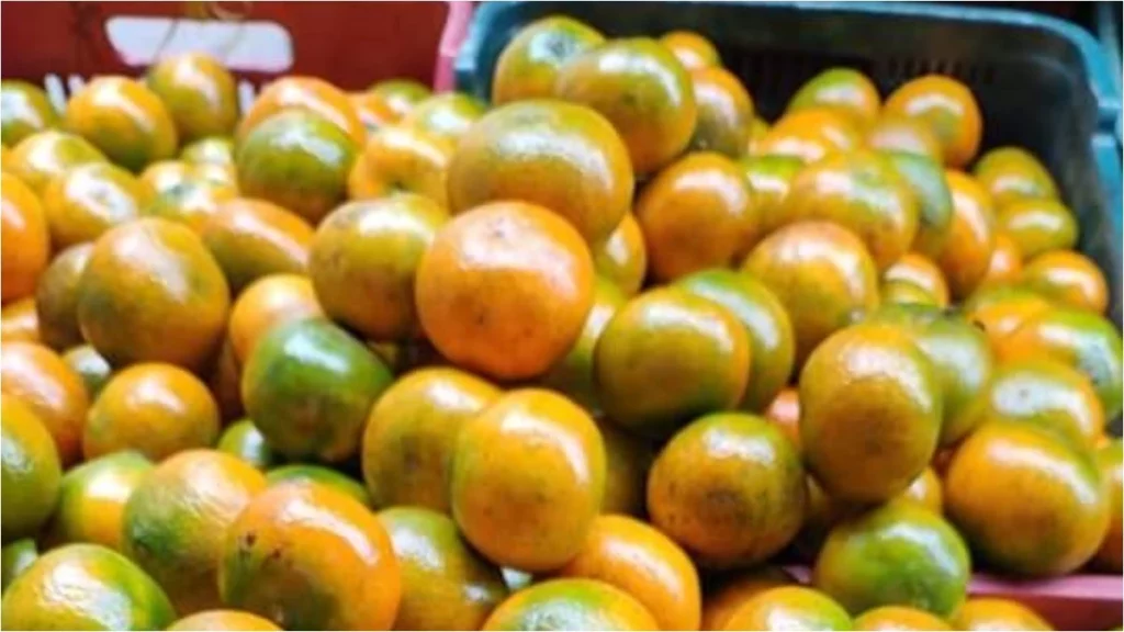 Hasta en 100 pesos venden el kilo de mandarina en Puebla, ¿por qué tan caro?