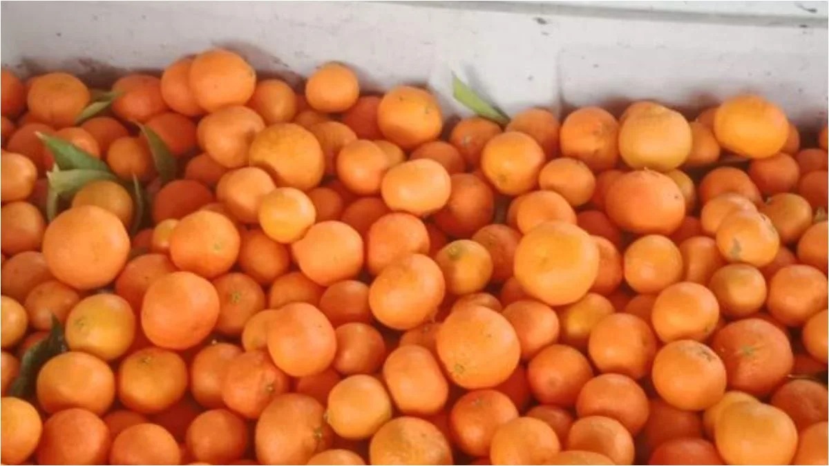 Hasta en 100 pesos venden el kilo de mandarina en Puebla, ¿por qué tan caro?