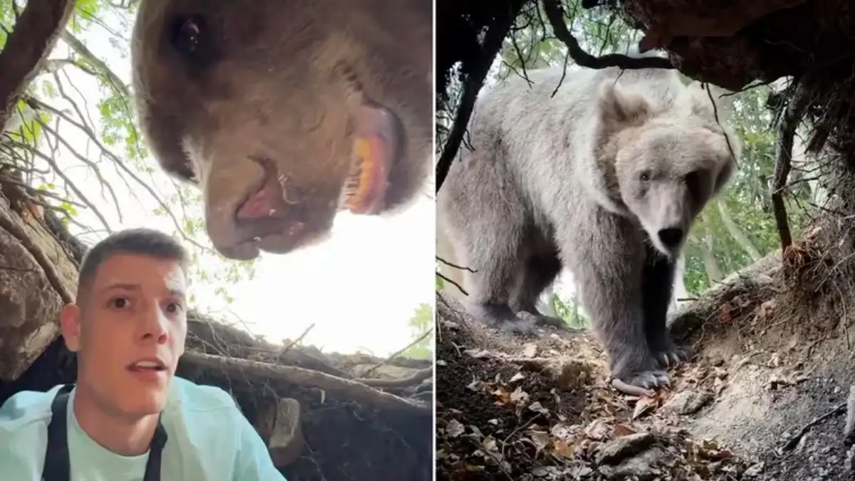 VIDEO: influencer se encuentra con oso tras entrar a madriguera para grabar