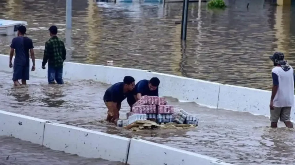 Estragos de John en Acapulco: adultos saquean cervezas mientras niños rescatan animales