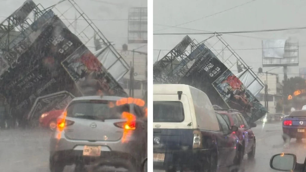 Cae espectacular sobre autos en la 31 Poniente, lluvia tira árboles en otros puntos