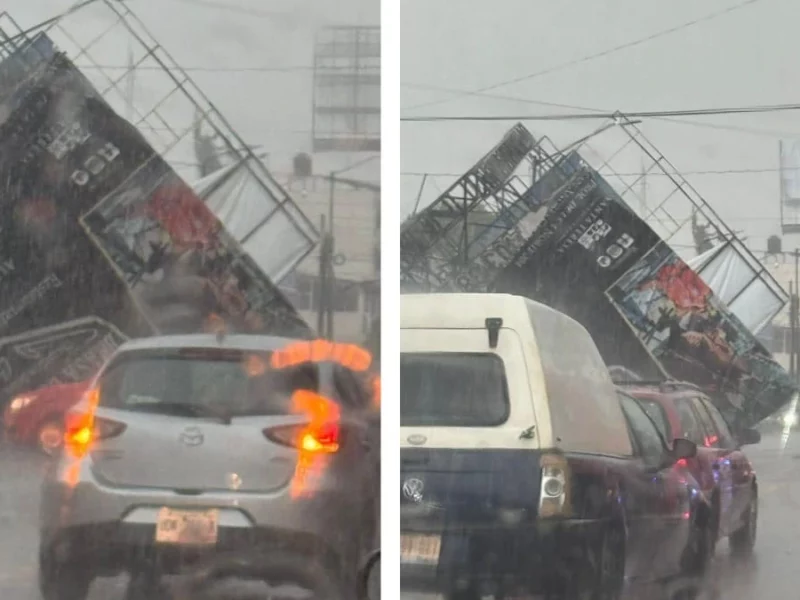 Cae espectacular sobre autos en la 31 Poniente, lluvia tira árboles en otros puntos