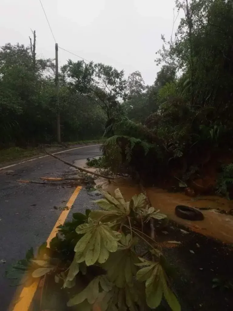 Cierres parciales en estas vialidades en Puebla por deslaves tras lluvias