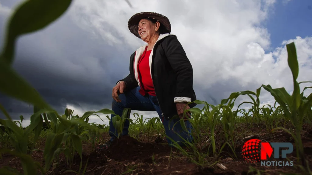 Día de las Mujeres Rurales 2024