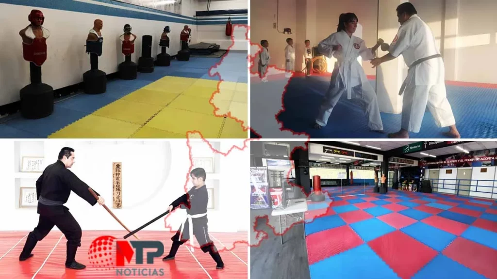 Dojos en Puebla para aprender karate en el Día del Karate 2024