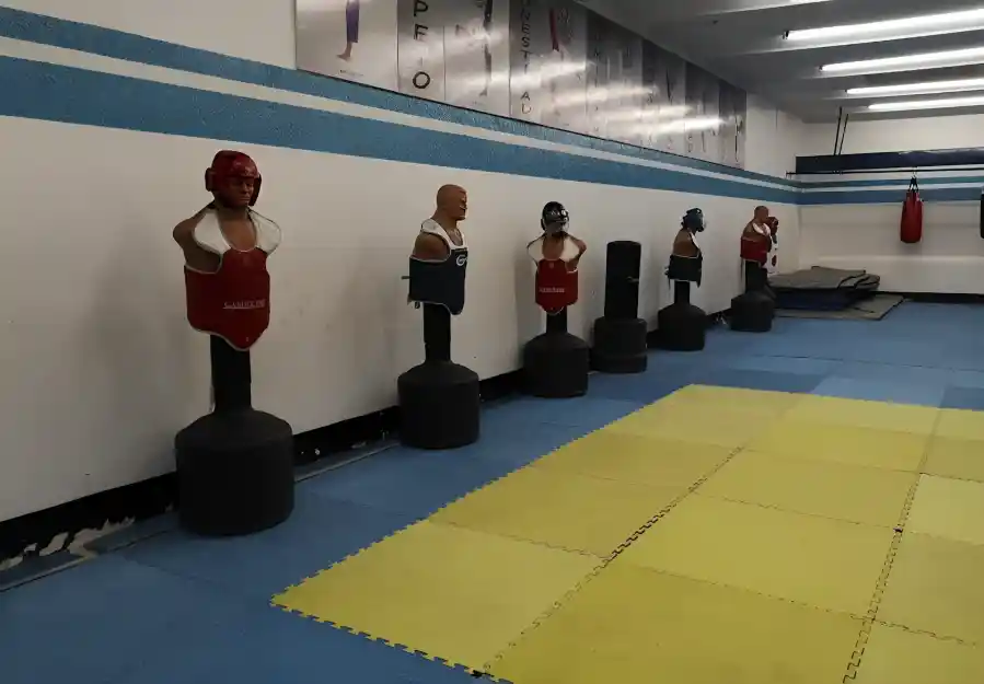 Dojo en Puebla