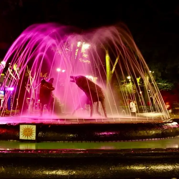 Fuente de los Coyotes de noche e iluminada