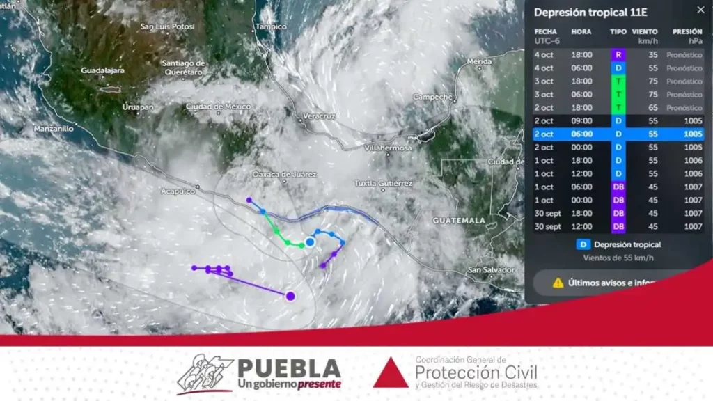 Rachas de viento de hasta 60 km/h por depresión tropical derriban árboles en Puebla