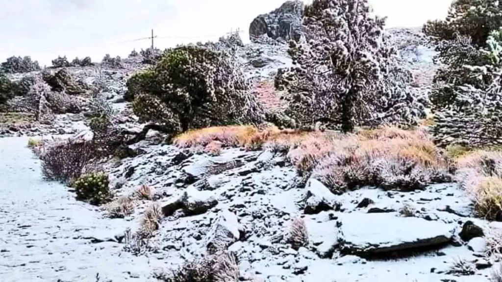 ¡A sacar las térmicas! Pronostican caída de nieve en estas zonas de Puebla