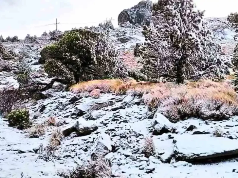 ¡A sacar las térmicas! Pronostican caída de nieve en estas zonas de Puebla