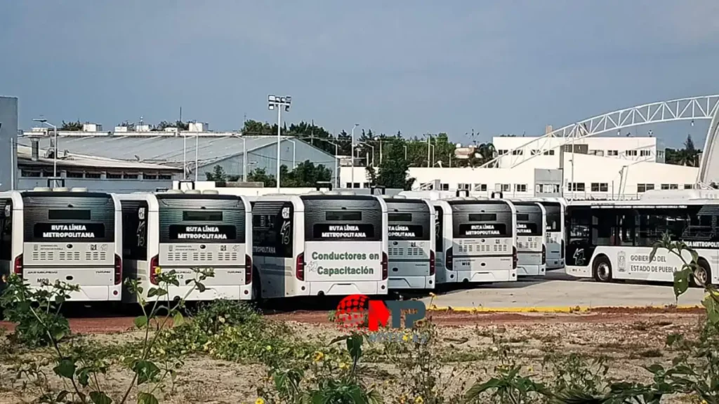 Ruta Línea Metropolitana